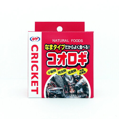 ●【NPF】コオロギ 缶詰 40g