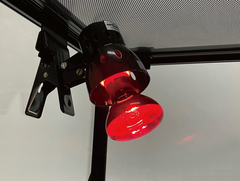 ●【REPTIZOO】RZ 赤外線保温バスキングスポットランプ 35w　E781 レプティズー【保温 照明 ライト 三晃商会 サンコー】