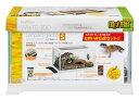 ■【エキゾテラ】レオパ飼育キット S EXOTERRA【ケージ 水槽 爬虫類 両生類 ヤモリ レオパ レオパードゲッコー ヒョウモントカゲモドキ ニシアフリカト...