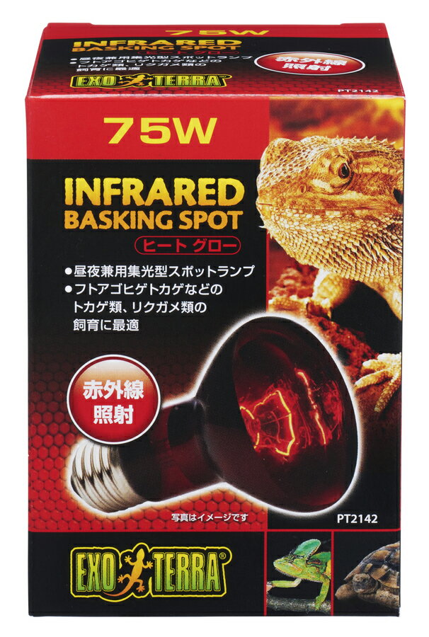 ●【エキゾテラ】ヒートグロー 75w 赤外線照射スポットランプ　EXOTERRA 【バスキング 保温 GEX ジェッ..