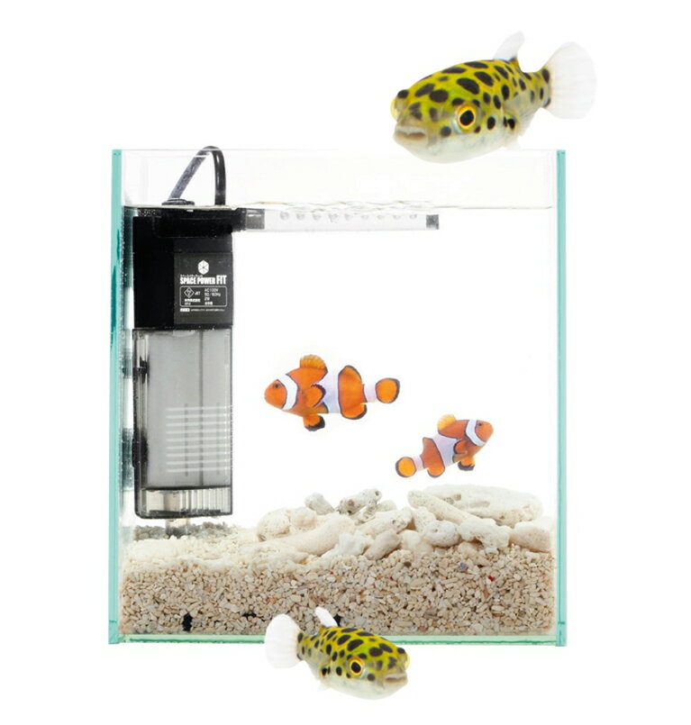 ���ڿ��ۤ��󤿤�͹�������� 1L��