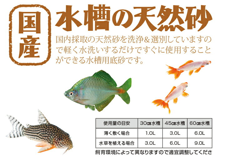 PALMY EXPRESSの●【水作】国産水槽の天然砂 南国砂 3.0L　AS-02｜アングル2