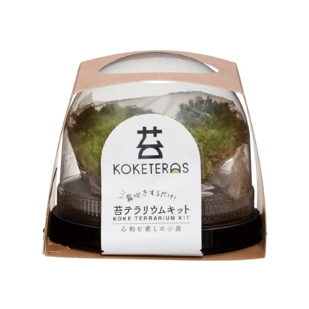 樂天商城 - ●【水作】ソコニワ コケテラス 苔テラリウムキット【SOKONIWA】