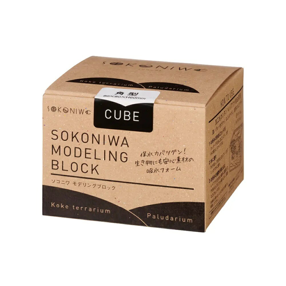 ●【水作】ソコニワ モデリングブロック 角型【SOKONIWA テラリウム 発泡樹脂】
