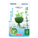 ●【ニッソー】テーブルアクア 浮かべる癒し苔玉 壹(イチ)【NISSO】