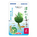 ●【ニッソー】テーブルアクア 浮かべる癒し苔玉 貳(ニ)【NISSO】