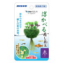 ●【ニッソー】テーブルアクア 浮かべる癒し苔玉 参(サン)【NISSO】