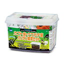 ☆【マルカン】カブト虫・クワガタ虫 カンタン飼育セット KS-13【昆虫】