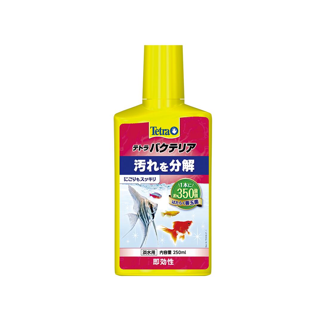 ●【テトラ】テトラ バクテリア 100ml　スペクトラム ブランズ ジャパン
