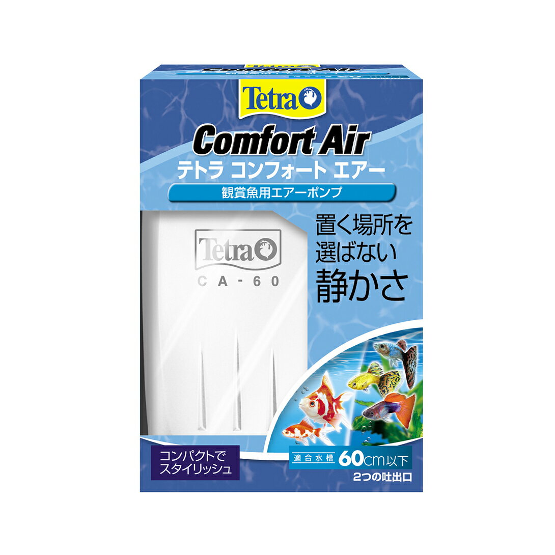 ڥƥȥۥƥȥ եȥ 60ڥȥ ֥ ѥ