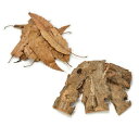 ●【三晃商会】かぶくわカクレガセット T15 サンコー【昆虫 虫 カブトムシ クワガタムシ 隠れ家 転倒防止】