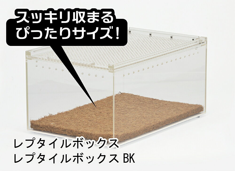 ●【三晃商会】レプタイルボックス ココマット 2枚パック E66【サンコー 床材 底床】