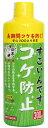 ●【コトブキ】すごいんです コケ防止 300ml【KOTOBUKI】