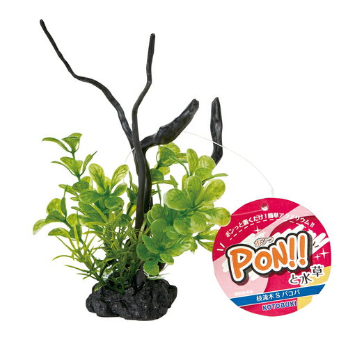 ڥȥ֥PON!!ȿ PON-S ХѡKOTOBUKI  ͹