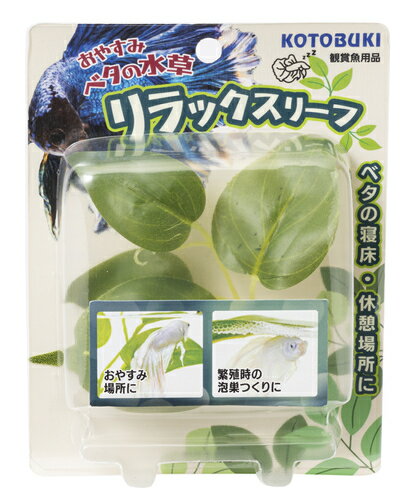 ڥȥ֥ۥ٥ο ॿסKOTOBUKI  ͹