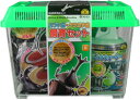 ●【フジコン】カブト・クワガタ飼育セット(S) × 12個 F-102 Fujikon