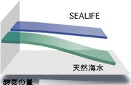 PALMY EXPRESSの●【マリンテック】シーライフ 500L (250Lx2)　日本海水 人工海水｜アングル3