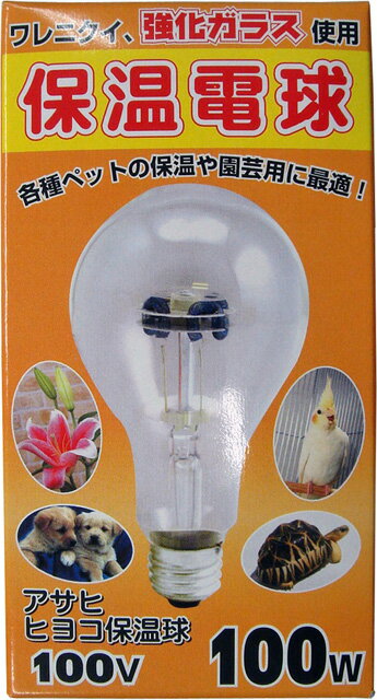 ○【アサヒ】ヒヨコ保温電球100W
