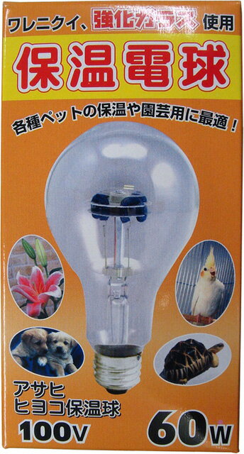 明るくならない電球です。 強化ガラス使用で割れにくくなっています。 【メーカー】 アサヒ 【サイズ】 80×80×145mm