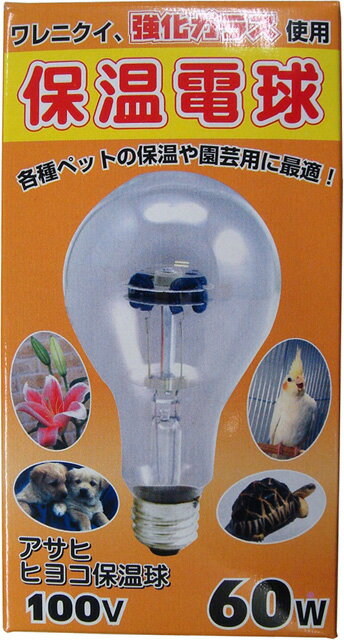 ○【アサヒ】ヒヨコ保温電球60Wの商品画像