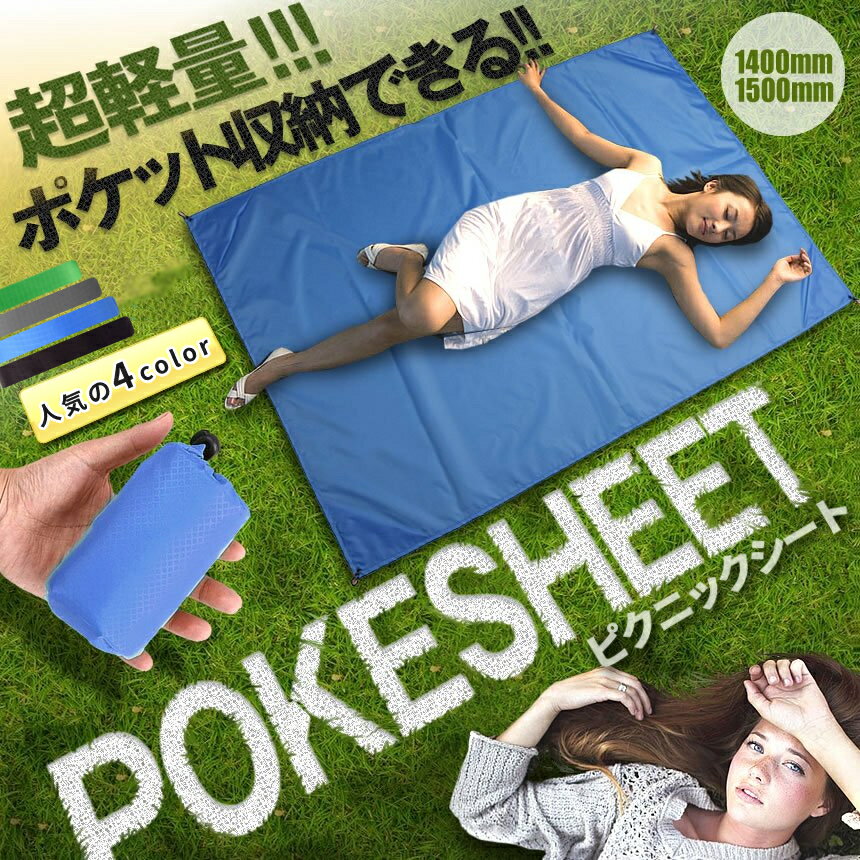 【本日終了！全品ポイント3倍】 ポケットサイズ ピクニックシート レジャーシート ...