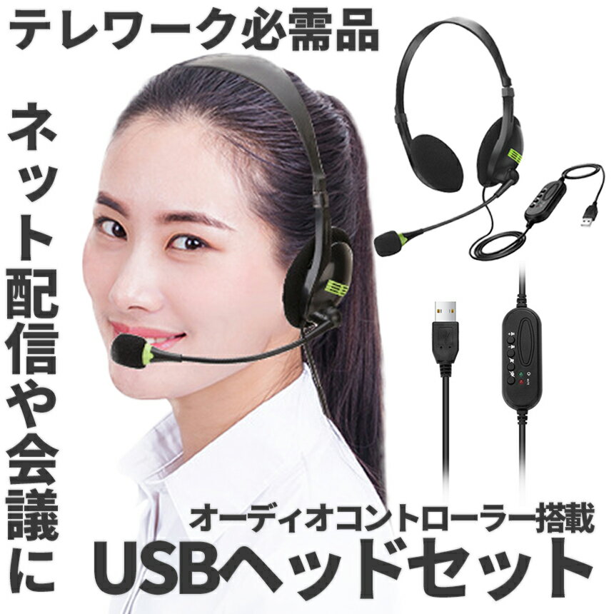 【当店限定！全品ポイント3倍】 USB ヘッドセット Web 会議 オーディオコントローラー オンライン 音楽 配信 マイク USBマイク ネット配信 撮影 クリア 音声 ヘッドホン PC USBHEDSET 送料無料 CM