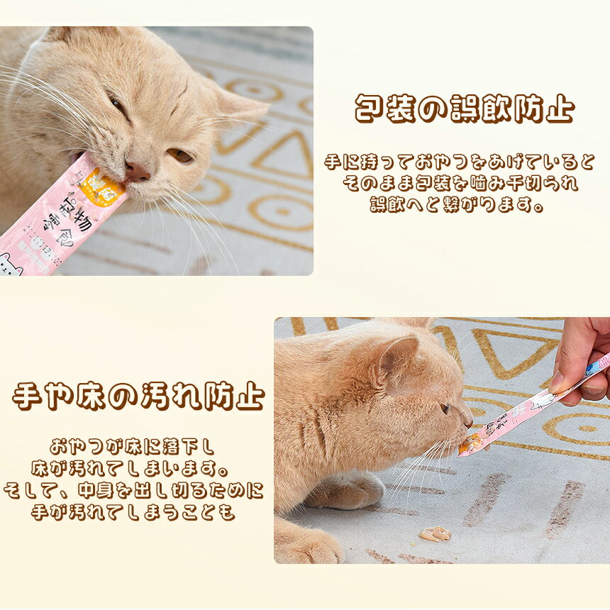 �ڥ����ѡ�SALE�����ʥݥ����5�ܡ� ǭ �� ����� ��� ���ס��� �ե������� 2�����å� ���塼�� �����ɻ� �����ɻ� ��ñ���� �ڥå� �¤�� ����� NEKKYU-SET TOKU ����̵��