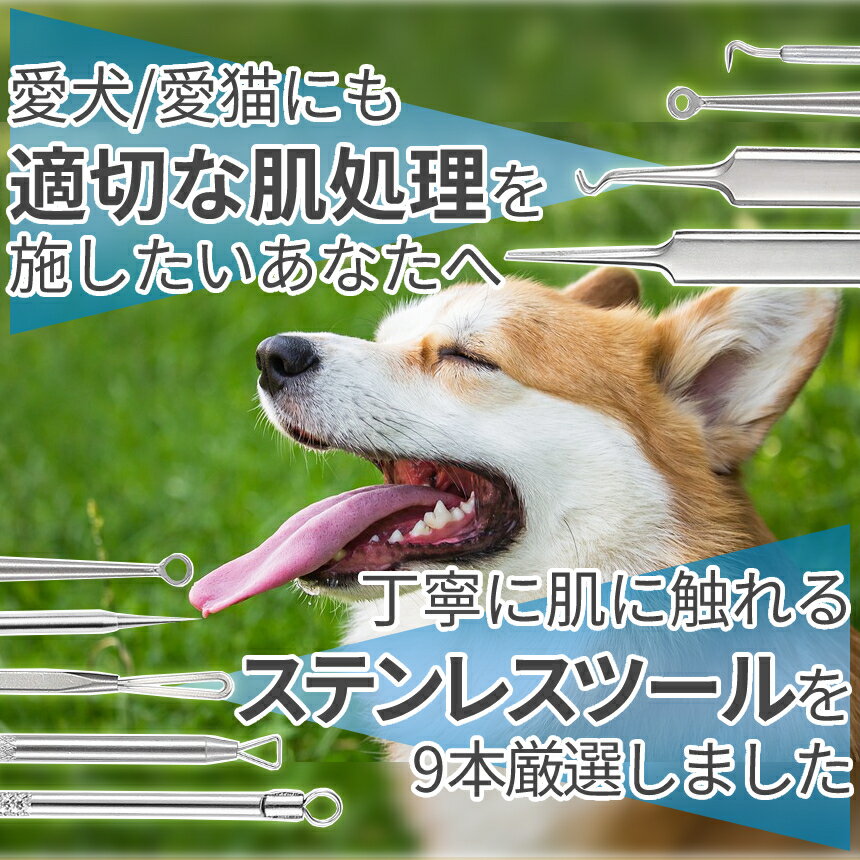 �ڥ����ե�ǡ������ʥݥ����5�ܡ� �ڥå��� ȩ�������å� 9�ܥ��å� ��Ǽ�������դ� �ڥå����ѥ��å� �� ǭ ������ ����ɥץå��㡼 �襴�� ���ä��� ��ȴ�� PEHADA9 ����̵�� CM