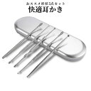 【1000円 ポッキリ】 耳かき 5本 セット ケース付き 耳掃除 イヤー 耳かき ミミカキ ステンレス クリーナー みみかき 耳穴 家庭用 収納 丸洗い 携帯 便利 出張 旅行 水洗い 可能 MKAKISET 送料無料 CM