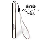 【GWも発送！全品ポイント3倍】【1000円 ポッキリ】 ペンライト コンパクト 作業灯 LED ペ ...