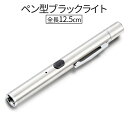 【本日終了!全品ポイント3倍】【1000円 ポッキリ】 ペン型UVライト ペン型 スマート ブラックライト 充電式 磁石 蛍光ライト IYP365 UV 365...