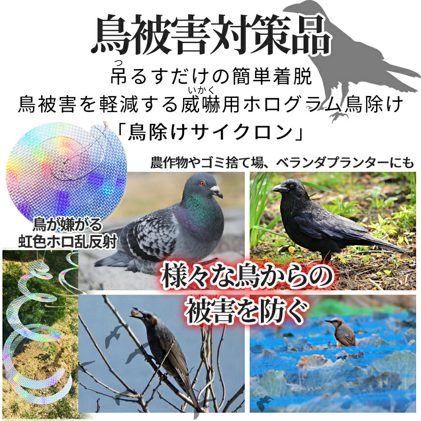 �ڥ����ե�ǡ������ʥݥ����5�ܡ� Ļ���� ���������� 40cm 3�祻�å� �ߤ겼���� ȷ�褱 ���饹�褱 ���餹���� ���饹�к� Ļ���к� ��� ��Ļ ���å� �� �����ǥ� �Ȥ�褱 TORIYOCYC ����̵�� CM