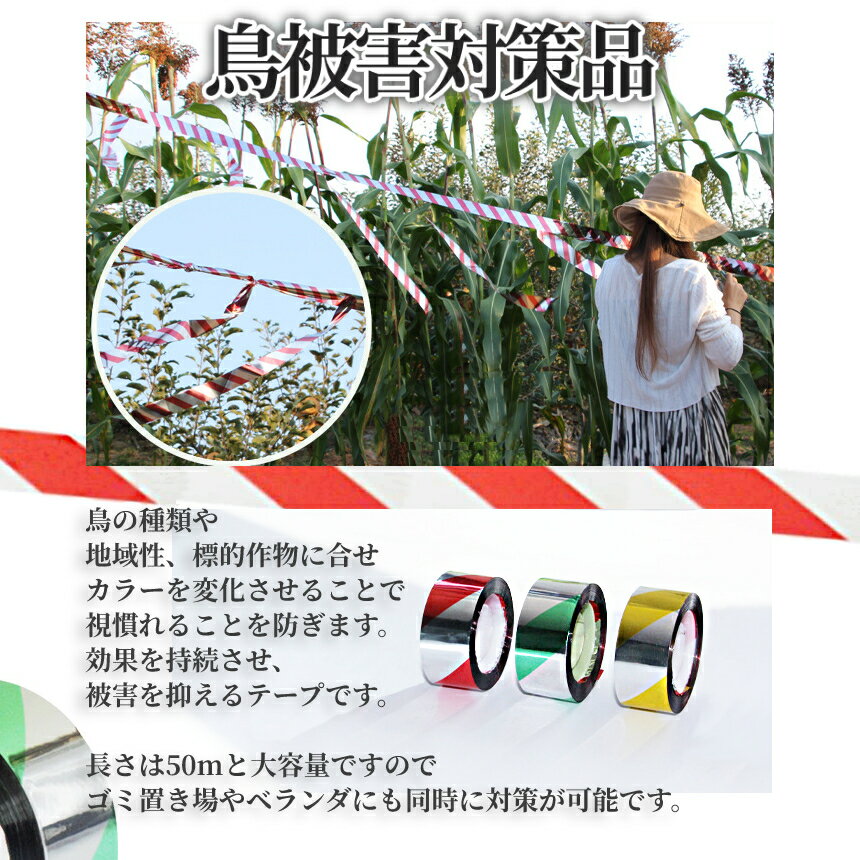 ����Ź���ꡪ���ʥݥ����3�ܡۡ�1000�� �ݥå���� Ļ���� �ơ��� 3�� ���å� Ļ�褱 50m 3�� �ߤ겼�� �ϥ� ���饹 �٥��� �� �����ǥ� Ȫ ���� �ڱ� ȷ�褱 ���饹�褱 ���餹 Ļ�� �к� ��Ļ �Ȥ�褱 ���å� TORITHREE ����̵��