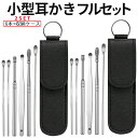 【当店限定!全品ポイント3倍】【1000円 ポッキリ】 小型 耳かき 6本組 2個セット みみかきセット 乾湿対応 耳あかごっそり 専用ケース付き キーホルダー...