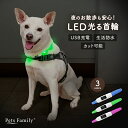 首輪 光る首輪 犬 LED おしゃれ 光る ネックリング ペット led首輪 猫 ライト 光 USB充電式 犬光る首輪 防水 夜の散歩 点灯 点滅 小型犬 中型犬 大型犬 夜 散歩 安全 軽量 ペット用品 犬用品 かわいい 犬用光る首輪 サイズ調整可(4)