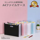 【楽天1位】書類収納 見やすい 送料無料 A4 書類 収納 ファイル 書類ケース ファイル収納 持ち運び デスク デスク収納 キッチン収納 学校 プリント 整理...