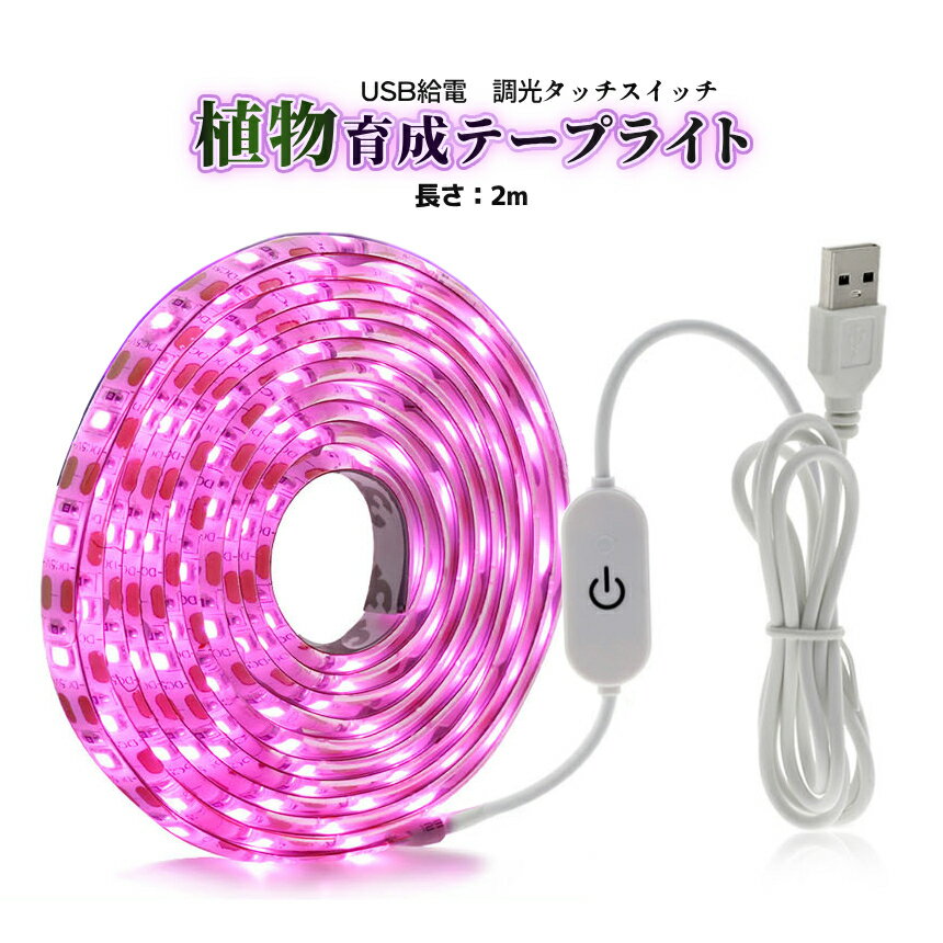 [ʥݥ10ܡޥ饽󳫺] ʪ 饤 2m USB   LEDơץ饤 åå USB  ­ ʪĹ...