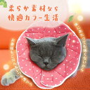 エリザベスカラー 犬 猫 ソフト 術後服 ペット用ソフトエリザベスカラー