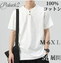 長袖tシャツ メンズ 春夏服 tシャツ メンズ 半袖 綿 秋服 無地 ロンt ヘンリーネック フィットネス おしゃれ インナーシャツ ロングtシャツ メンズ シングル 肌着