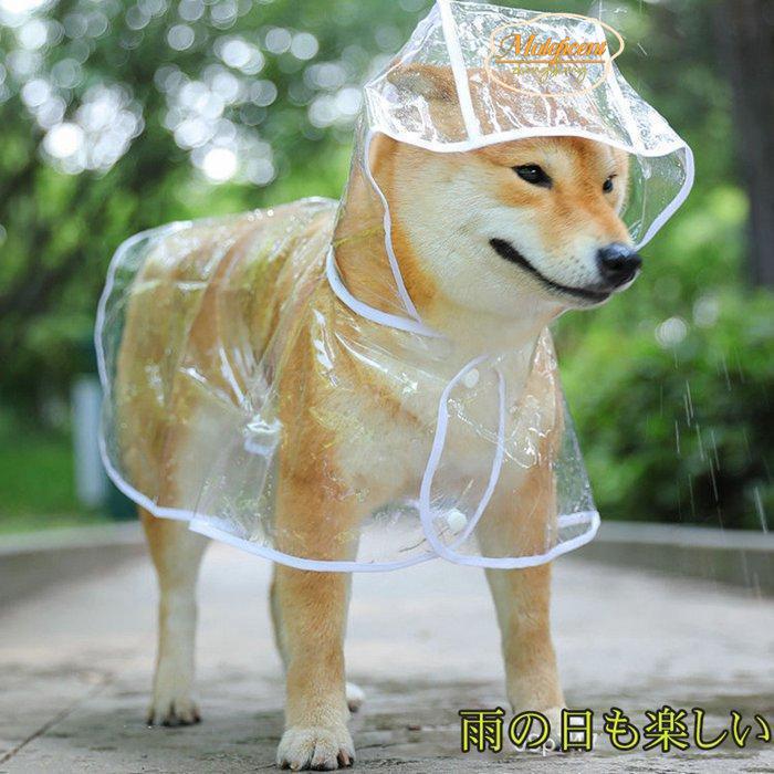 ѥ쥤󥳡 ڥåȥ쥤󥳡 å ݥ  淿 緿 Ƹ ѿ  ߱к Ʃʹ
