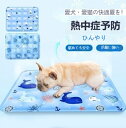 ペットベッド 夏 クールマット ペット ひんやり ペットマット 冷却 マット ジェル シート クール マット 冷感マット 夏用 犬 猫 接触冷感