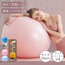 バランスボール ヨガボール エクササイズボール 空気入れ付き アンチバースト仕様 直径55cm フィットネス ダイエット 骨盤補正 滑り止め 室内用