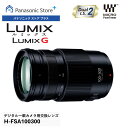 【公式店】パナソニック デジタル一眼カメラ用交換レンズ ルミックス Gシリーズ ブラック H-FSA100300 超望遠ズームレンズ マイクロフォーサーズ 焦点...