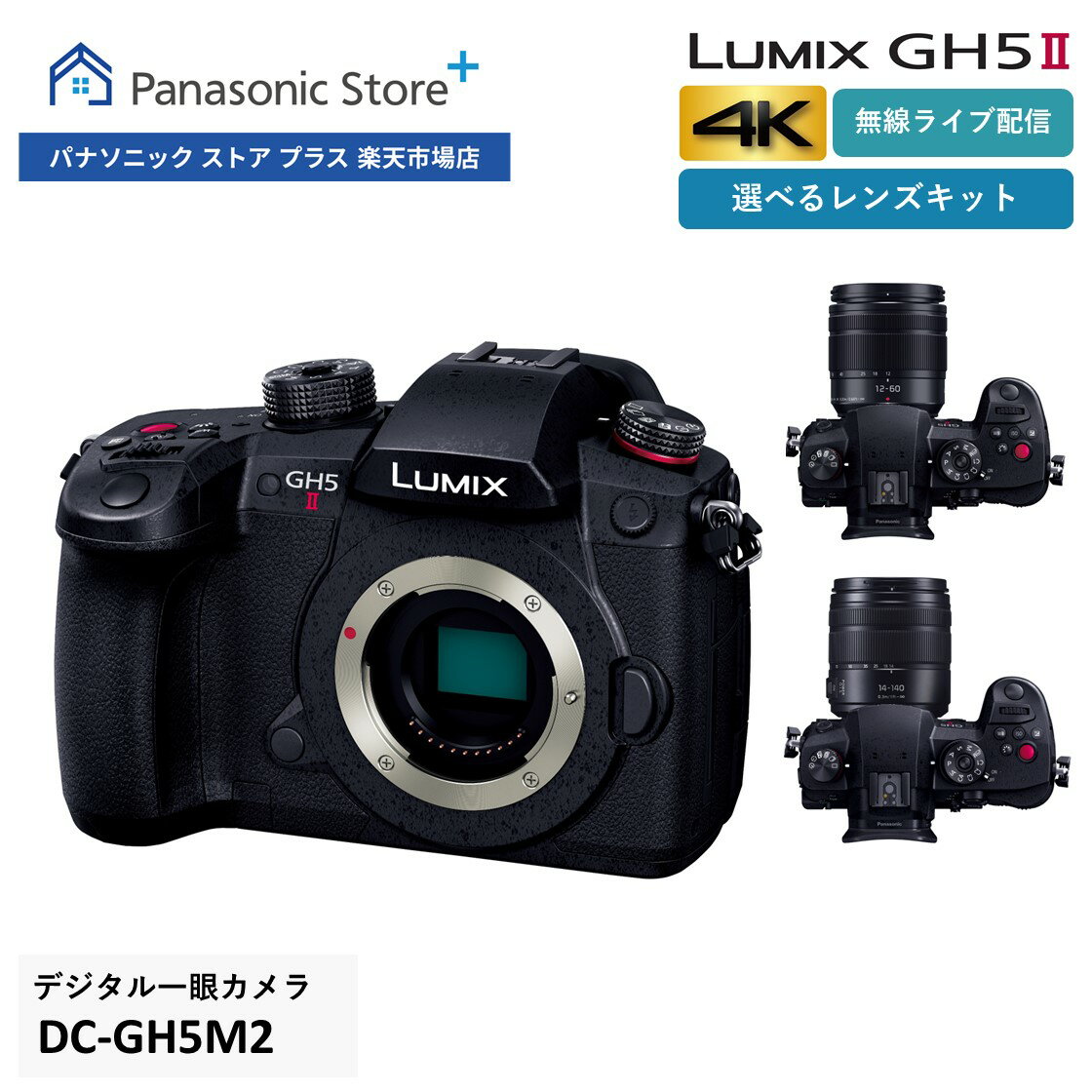 【公式店】パナソニック デジタル一眼カメラ LUMIX Gシ