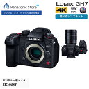 【公式店】パナソニック デジタル一眼カメラ LUMIX Gシリーズ 選べるタイプ(ボディのみ/標準ズームレンズキット) DC-GH7/GH7L ミラーレス一眼(...