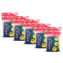 5点セット送料無料【ボタンアメ缶】セイカ食品 飴菓子 南国特産 ボタンアメ缶 復刻デザイン お菓子 入手困難 お土産 プレゼント クリスマス グミッツェル 果...