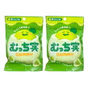 2点セット 送料無料【青りんご味】クリート むっち実グミ 青りんご味 とろーりジュレが入った、青りんご味のグミ お菓子 入手困難 お土産 プレゼント クリスマス...