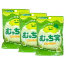 3点セット 送料無料【青りんご味】クリート むっち実グミ 青りんご味 とろーりジュレが入った、青りんご味のグミ お菓子 入手困難 お土産 プレゼント クリスマス...