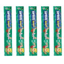 【送料無料・ホリデイ(緑)・5点セット】NeRds ナーズ ロープ グミ ホリデイ 5点セット お菓子 グミ キャンディ 銘菓