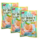 3個セット送料無料【白桃味】SORBET GUMMY　ソルベットグミ 　白桃味 50g